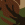 Camouflage Green Camouflage Green