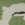 Desert Camouflage