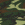 Woodland Camouflage